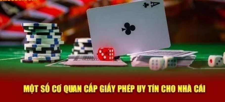 Một số giấy phép hoạt động Nohu90 chính thức