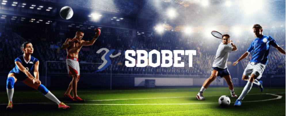 Những siêu phẩm thể thao hấp dẫn bậc nhất Sbobet Nohu90