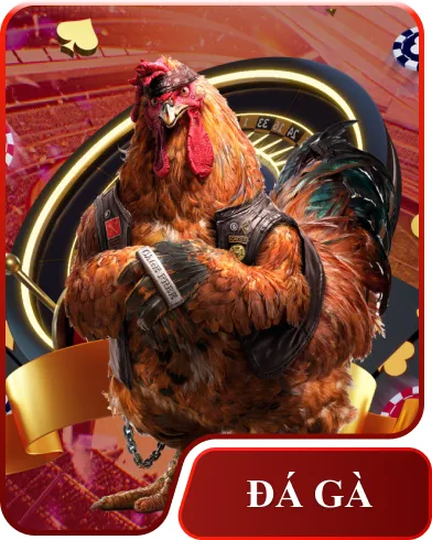 Đá gà
