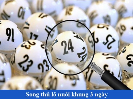 Nuôi lô khung 3 ngày có khả năng vào bờ cao
